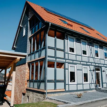 Daire Ferienwohnung Dachgeschoss Wohnwerk Lautenthal Harz *