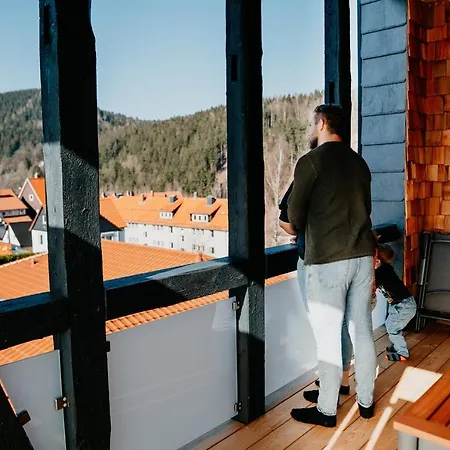 Ferienwohnung Dachgeschoss Wohnwerk Lautenthal Harz Langelsheim